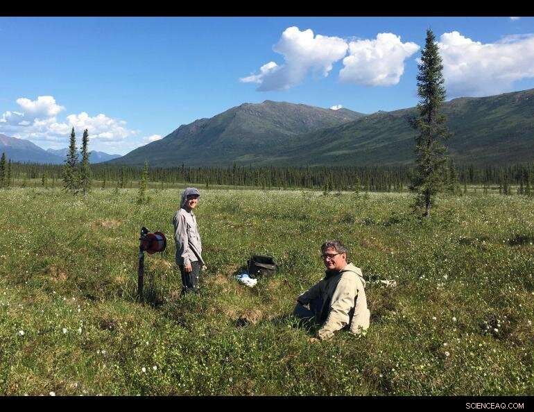 Scientists Discover Early Signals of Permafrost Thaw in Alaska