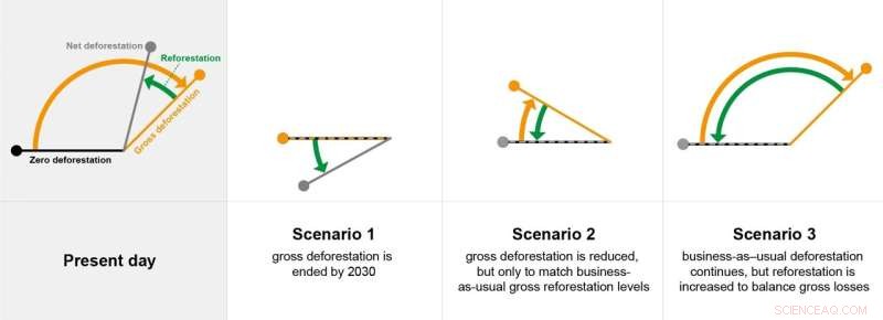 Choosing the Path to End Deforestation: Its Impact on Future Emissions