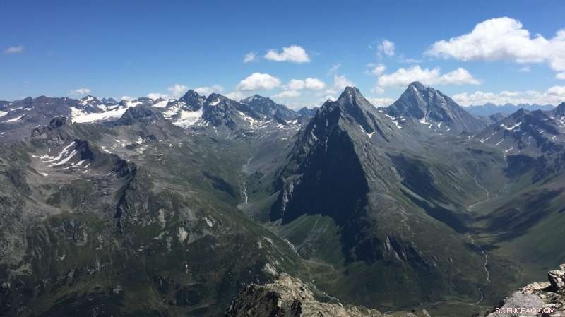 Alpine Climate Change: Satellite Data Unveils Rapid Vegetation Growth and Glacial Loss