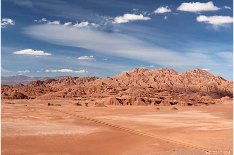 How Mountains Rise: The Role of Lithospheric Strength and Tectonic Forces