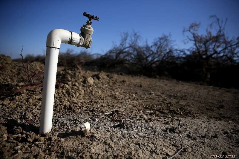 Los Angeles Implements Unprecedented Water Restrictions to Combat Drought