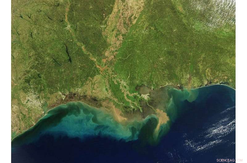 New Study Reveals Gulf of Mexico’s Survival Path During 56‑Million‑Year‑Old Mass Extinction
