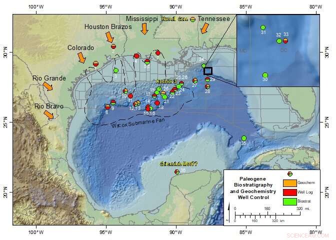 New Study Reveals Gulf of Mexico’s Survival Path During 56‑Million‑Year‑Old Mass Extinction