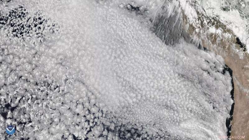 Will Climate Change Make the Sky Cloudless? Unveiling the Cloud Mystery in Climate Forecasts