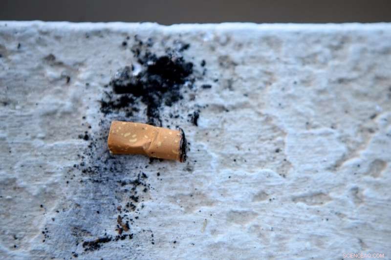 WHO Highlights Tobacco Industry s Devastating Environmental Impact