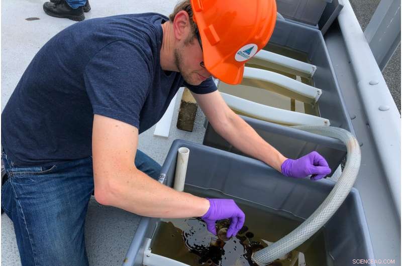 Study Validates Oil Dispersants’ Efficacy in Real-World Spill Scenarios