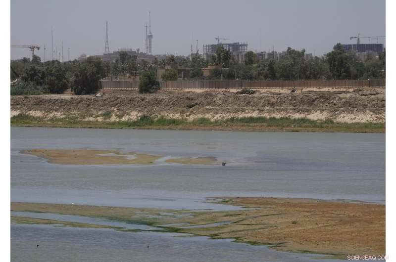 Iraq s Wheat Harvest Strained by Severe Water Shortages