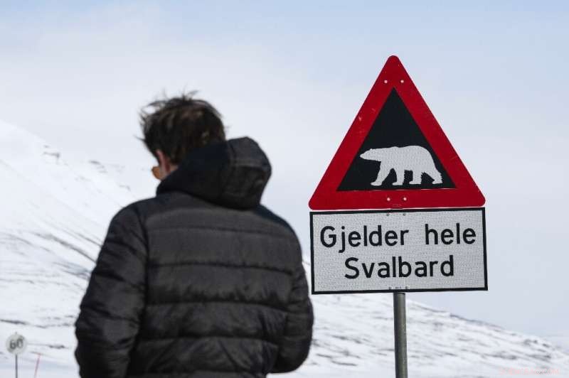 Svalbard s Quest for Sustainable Tourism: Protecting Arctic Wilderness