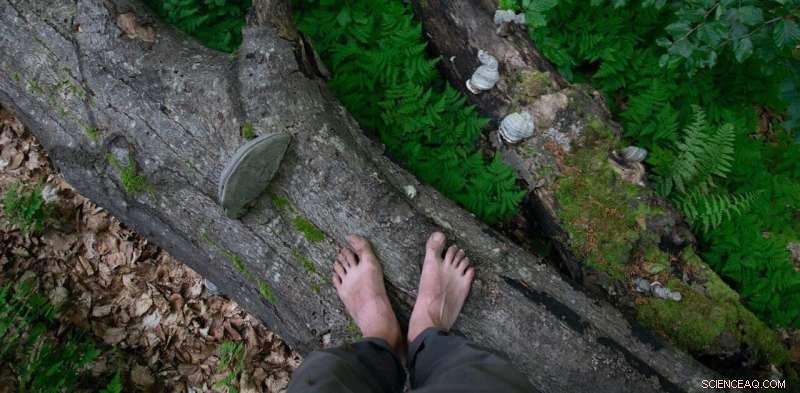 Carbon Footprints: From Fossil Fuel Co-opting to a Catalyst for Climate Accountability