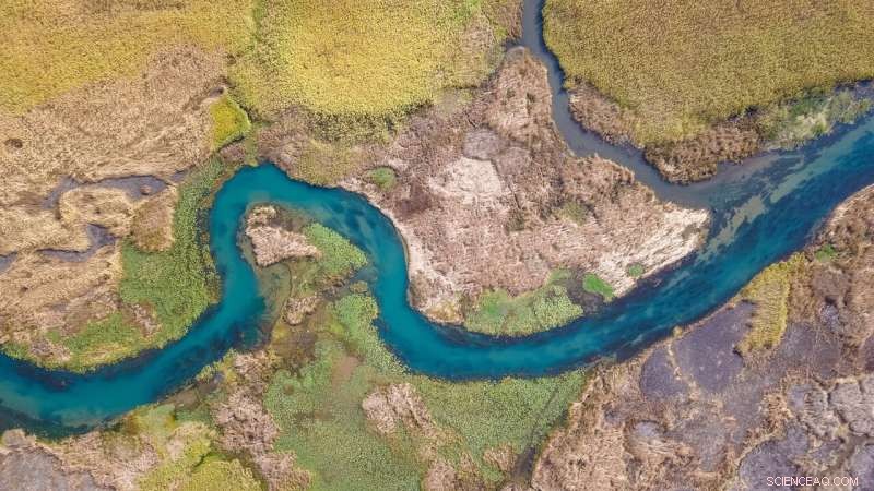 The First Global Catalog of River Avulsions: Mapping Course Changes