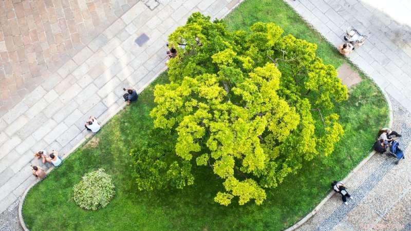Using Digital Technology to Preserve Urban Green Spaces and Enhance City Livability
