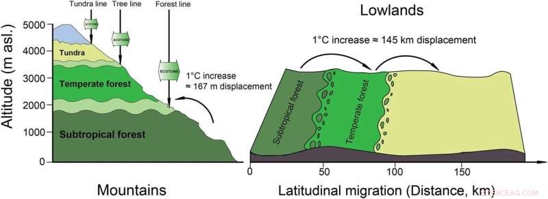 Alpine Grasslands: How Climate Change and Human Activities Shape Their Future