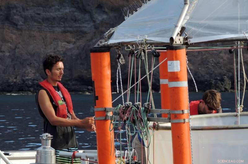 Study Reveals Ocean Acidification Threatens Diatom Populations