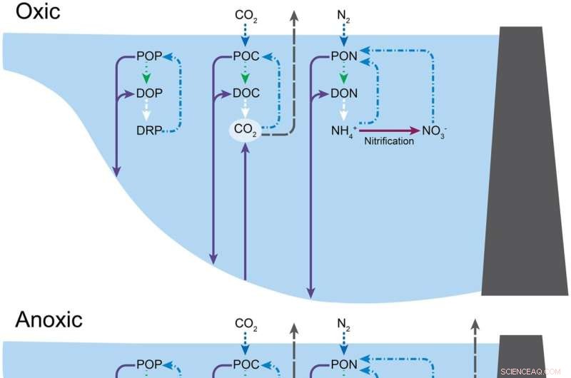 Oxygen Depletion Creates a Vicious Cycle, Endangering Lake Water Quality