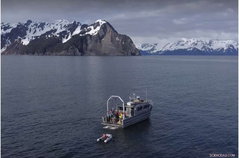 First Underwater Drone Measures CO2 Levels in Alaska Gulf, Advancing Climate Research