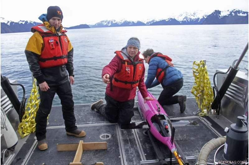 First Underwater Drone Measures CO2 Levels in Alaska Gulf, Advancing Climate Research