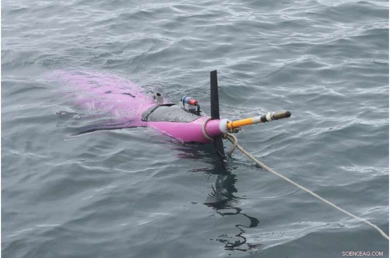 First Underwater Drone Measures CO2 Levels in Alaska Gulf, Advancing Climate Research