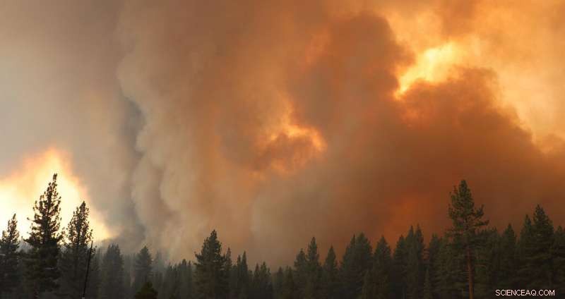 New Predictive Tool Lets Scientists Forecast Western U.S. Wildfire Seasons