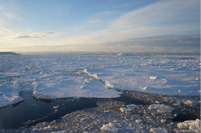 New Study Highlights Urgent Climate Impact on Antarctica, Urging Immediate Action