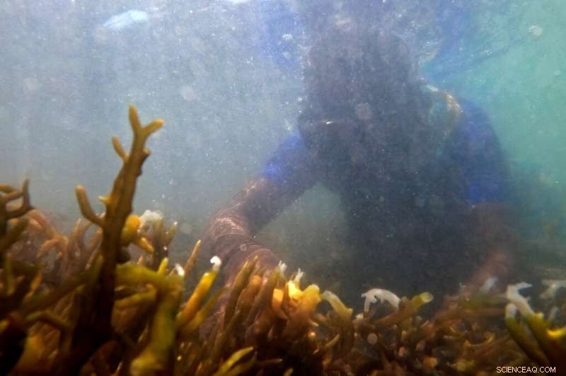 Billionaires Invest in CO₂ Capture Solutions to Safeguard the Planet