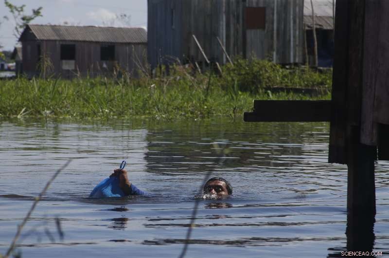 Brazil s Amazon Region Faces Devastating Floods Once More
