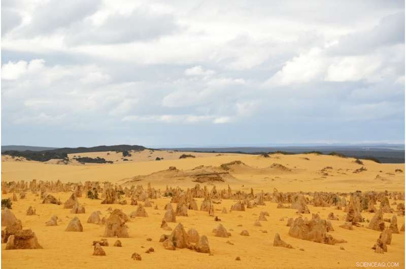 US Records New Temperature Highs as UN Urges Action on Climate Crisis