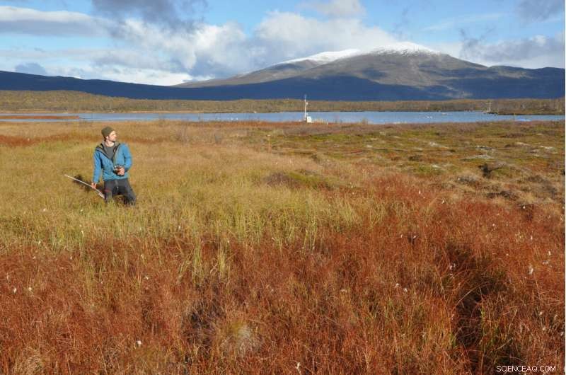 Northern Sweden Study Finds Lower Methane Emissions Than Expected