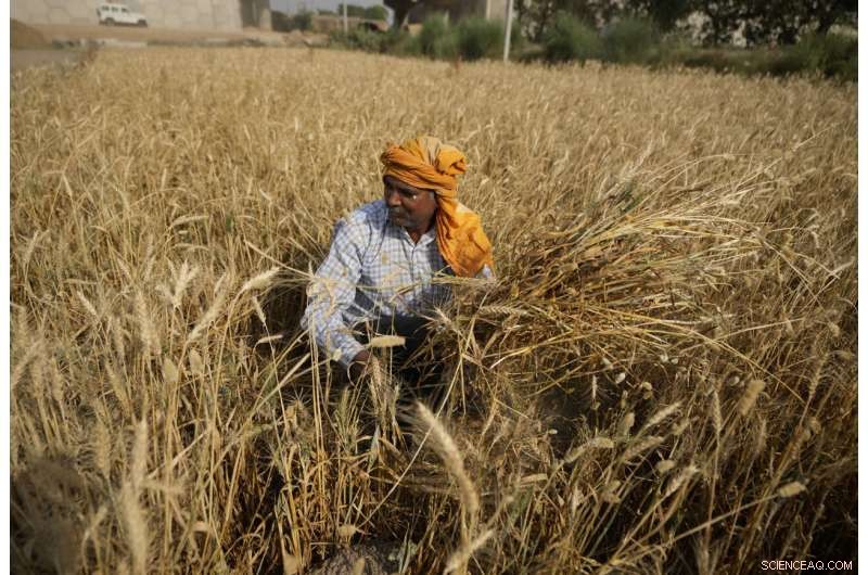 South Asia s Intense Heat Wave Signals Climate Change s Growing Impact