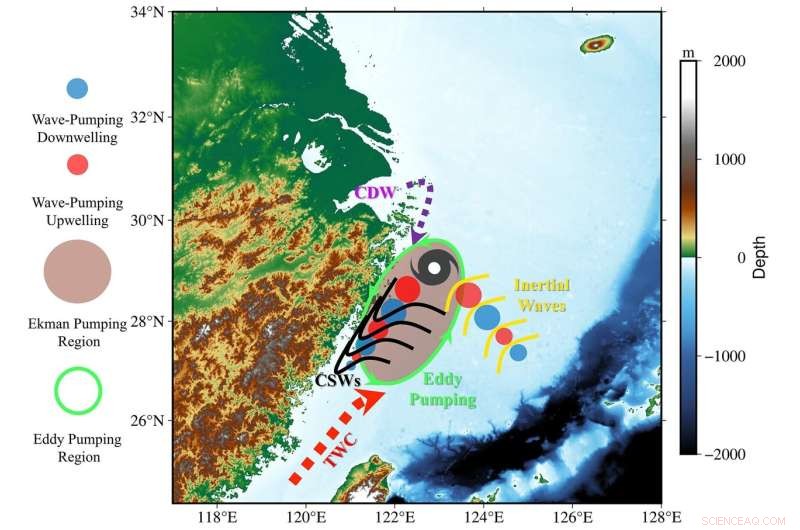 How Typhoons Trigger Coastal Algal Blooms: A Scientific Perspective