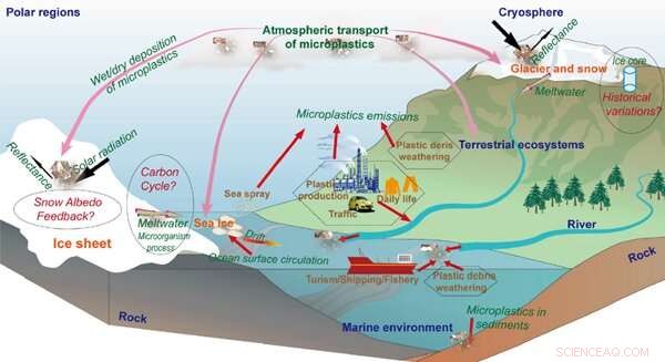 Microplastics Threaten Remote Cryospheric Regions: Environmental Impact and Urgent Action Needed
