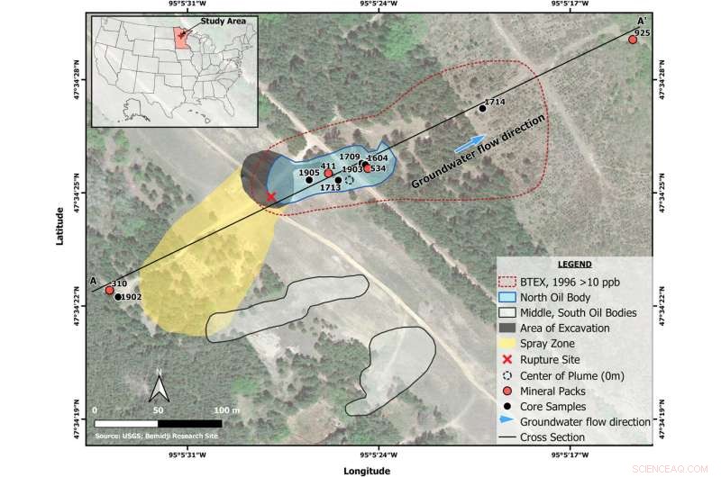 New Experiments Reveal Biological Factors Influencing Magnetization Decline at Oil Spill Site
