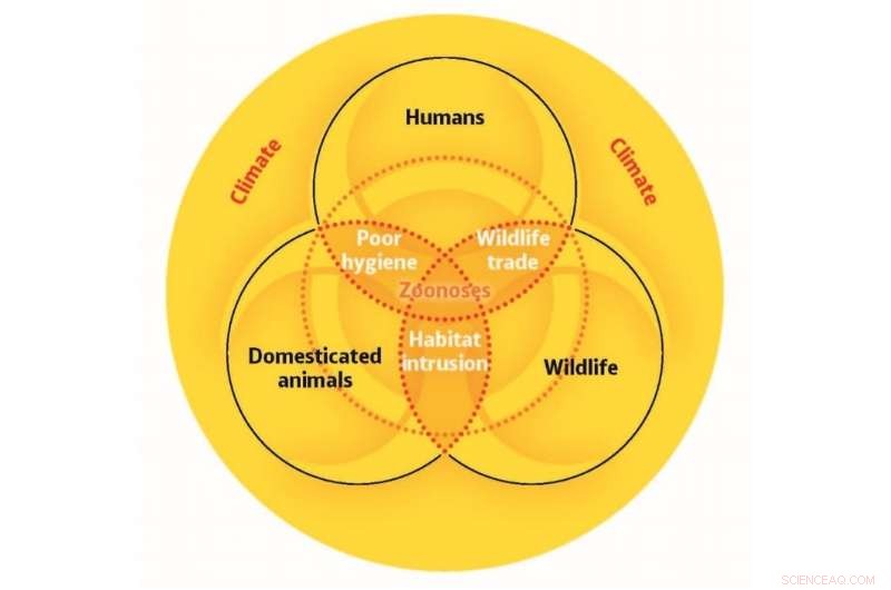 Timely, Accurate Information Is Critical for Pandemics—and Equally for Climate and Biodiversity Crises