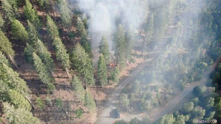 Study Suggests Extending California s Prescribed Burning Season to Reduce Wildfire Risk