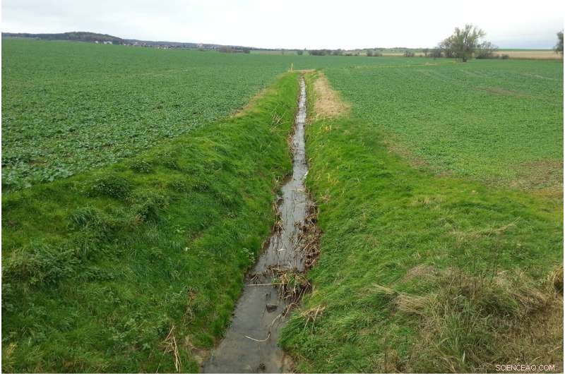 Human Stressors Drastically Impair Global River and Stream Ecological Functions