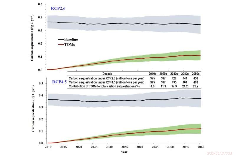 China s 2060 Terrestrial Carbon Sequestration Could Offset 13–18% of Peak Energy-Related CO₂ Emissions