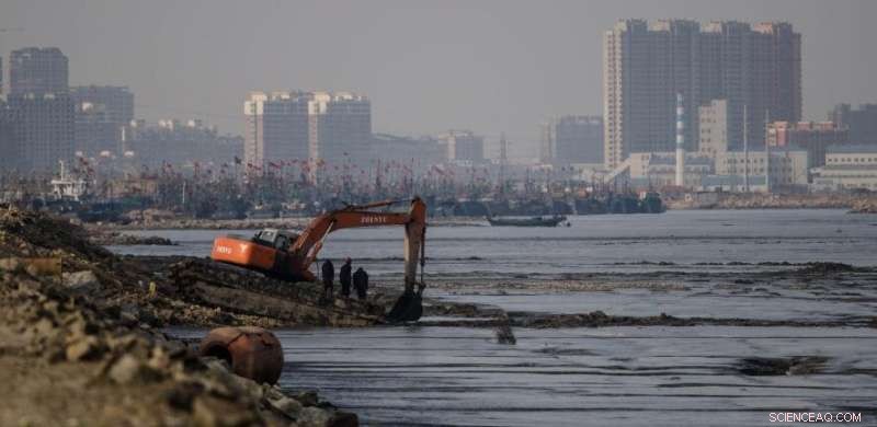 Satellite Data Uncovers 4,000 km² Loss of Global Tidal Wetlands Over 20 Years