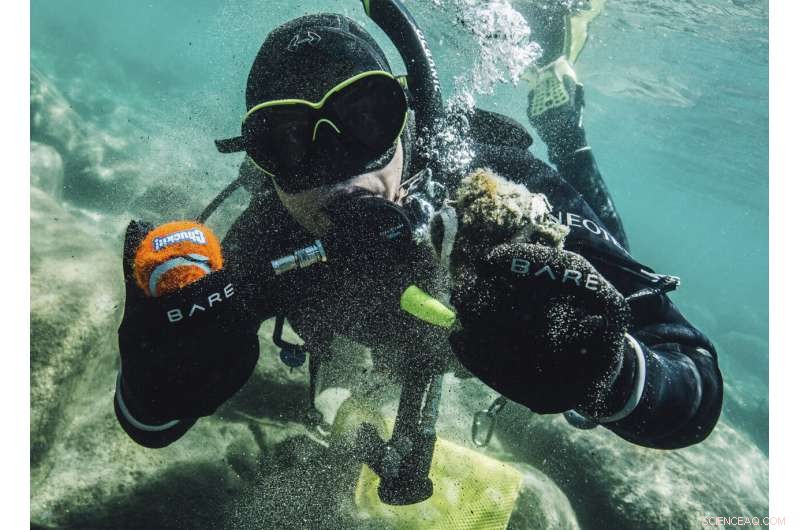 Lake Tahoe Divers Unearth Hidden Treasures While Cleaning Up 72‑mile Shoreline
