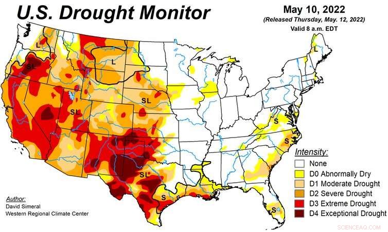 Trees Aren’t the Ultimate Climate Solution: New Studies Reveal Their Limits in a Warming World