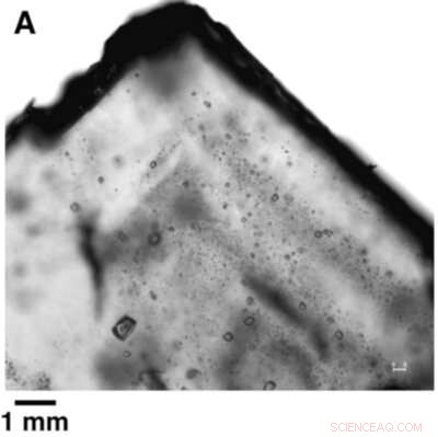 Ancient Microorganisms in Halite Could Redefine the Search for Life