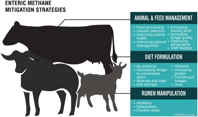 Fully Implementing Current Mitigation Tactics Could Achieve 2030 Livestock Methane Reduction Goals