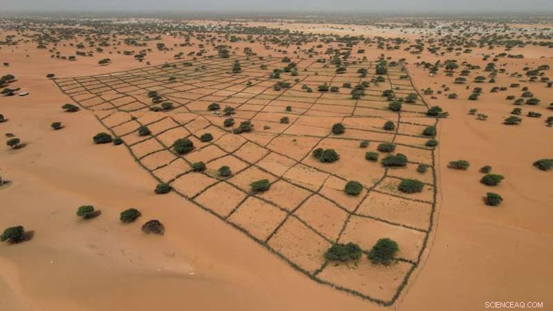 UN Report Warns Droughts Escalated 29% in a Generation, Calls for Urgent Global Action