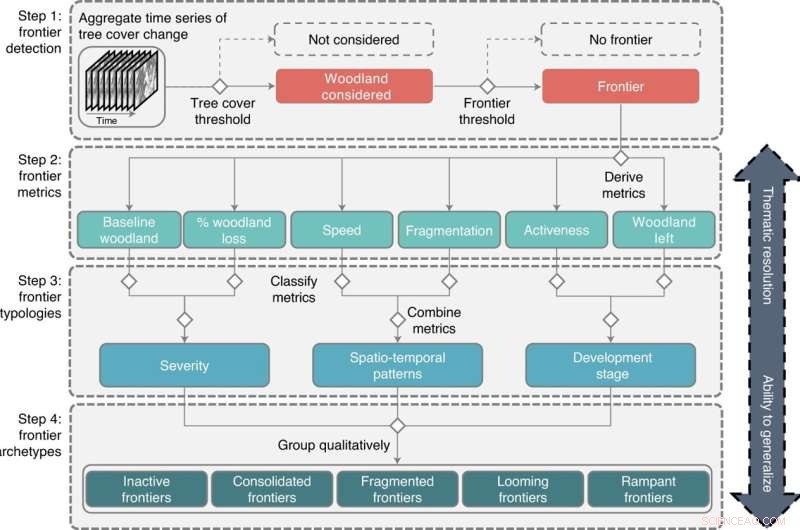 Rapid Decline of Global Tropical Dry Forests: New Study Reveals Alarming Deforestation Trends