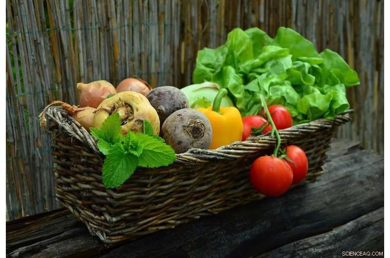 How Food Choices Drive Climate Change Mitigation