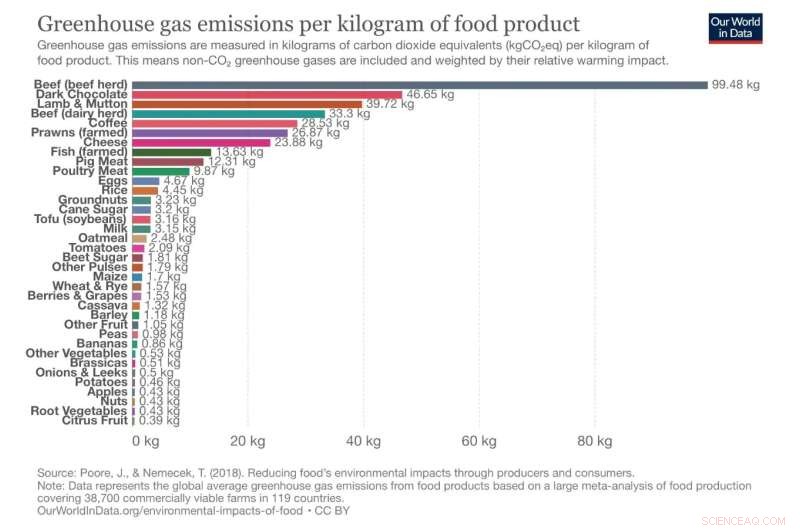 How Food Choices Drive Climate Change Mitigation