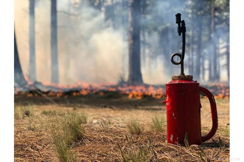 Consensus Strategy Launched to Shield Public Health from Controlled Burns and Wildfires