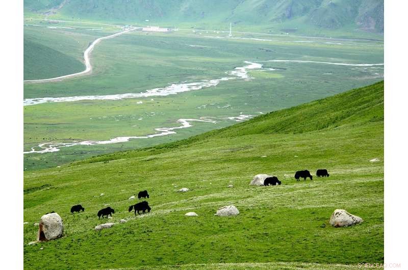 Advanced Climate Model Technique Predicts Greater Precipitation Rise on the Tibetan Plateau
