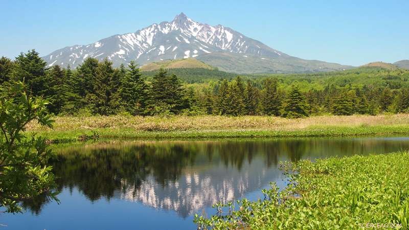 How Climate and Ocean Currents Shaped Japan s Ancient Hunter‑Gatherer Societies
