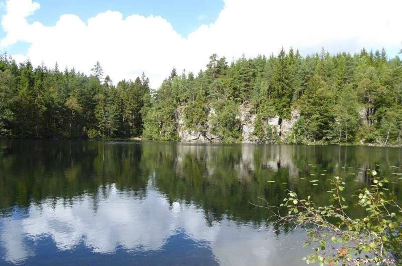 Nanoplastic Pollution Found in Sweden’s Rural and Remote Surface Waters