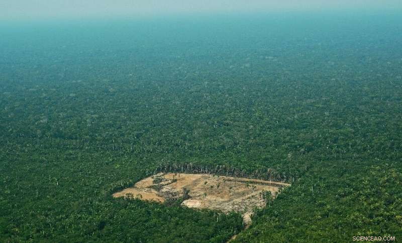 Brazil s Amazon Deforestation Surpasses April Record, Exceeding 1,000 km²