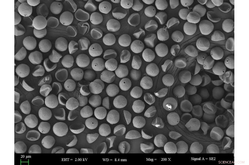 Tropical Plants Gain Less Growth from Rising CO₂ Than Earlier Studies Suggested
